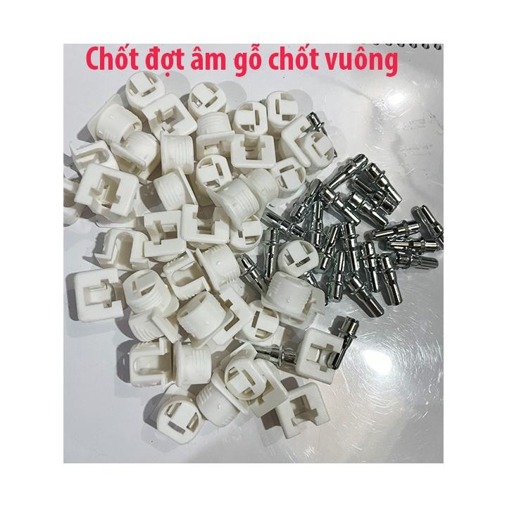 Chốt đợt âm gỗ không ren, chốt đợt cài âm,chốt hãm đợt túi 500 con