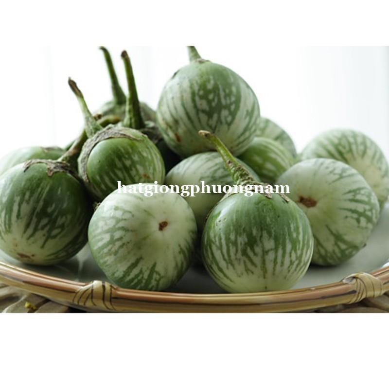 1 GR - HẠT GIỐNG CÀ DĨA SỌC XANH
