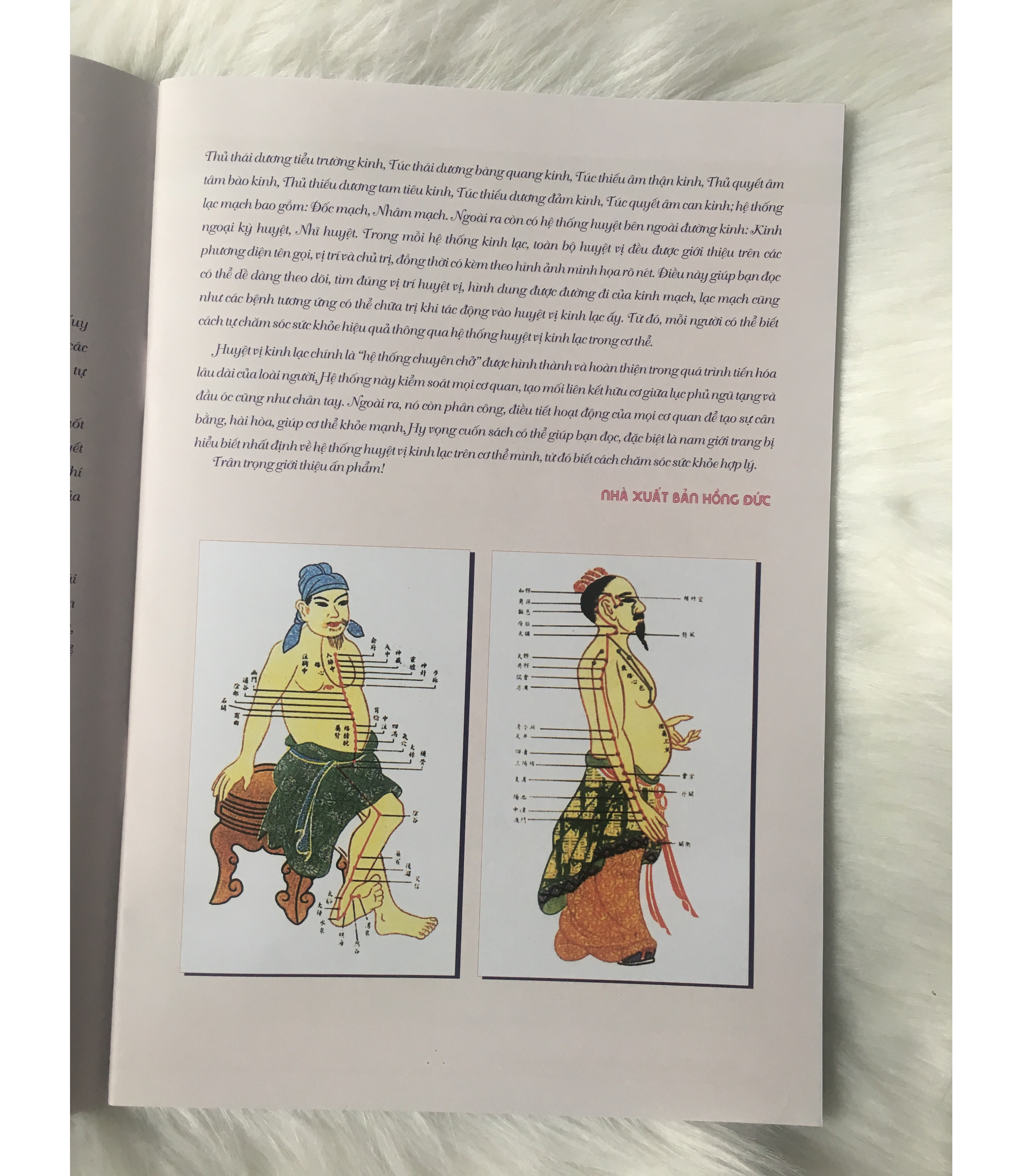 Đồ Hình Huyệt Vị Kinh Lạc Ở Nam Giới - Tặng Kèm Bookmark GIGA