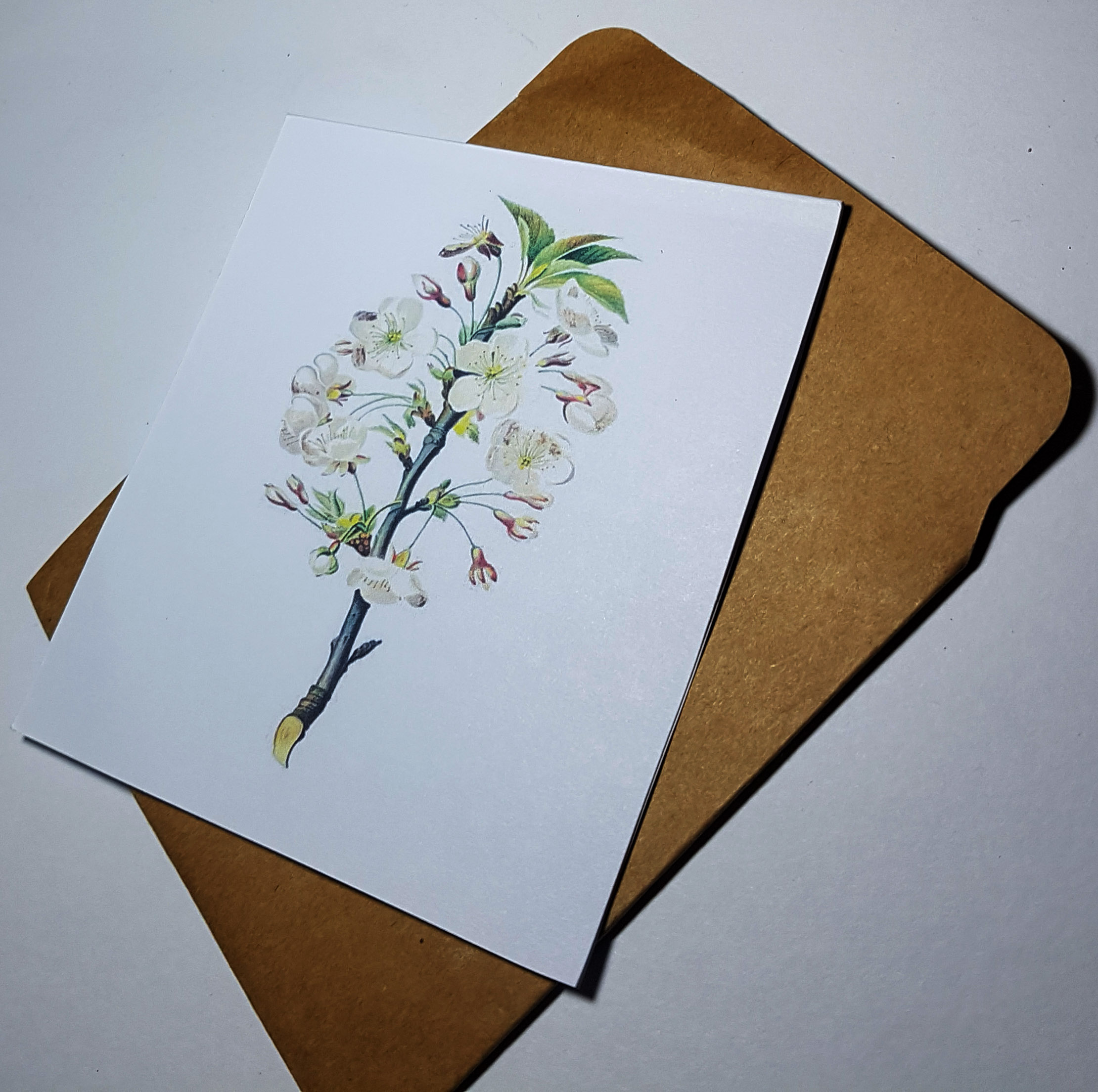 Thiệp phong cách Vintage card quà cám ơn ,chúc mừng sinh nhật và giử tặng người thân yêu