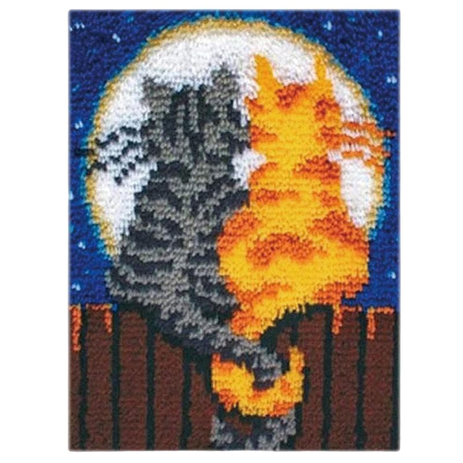 Creative Latch Hook Kits for Adults Crochet Carpet for Home Beginners Adults