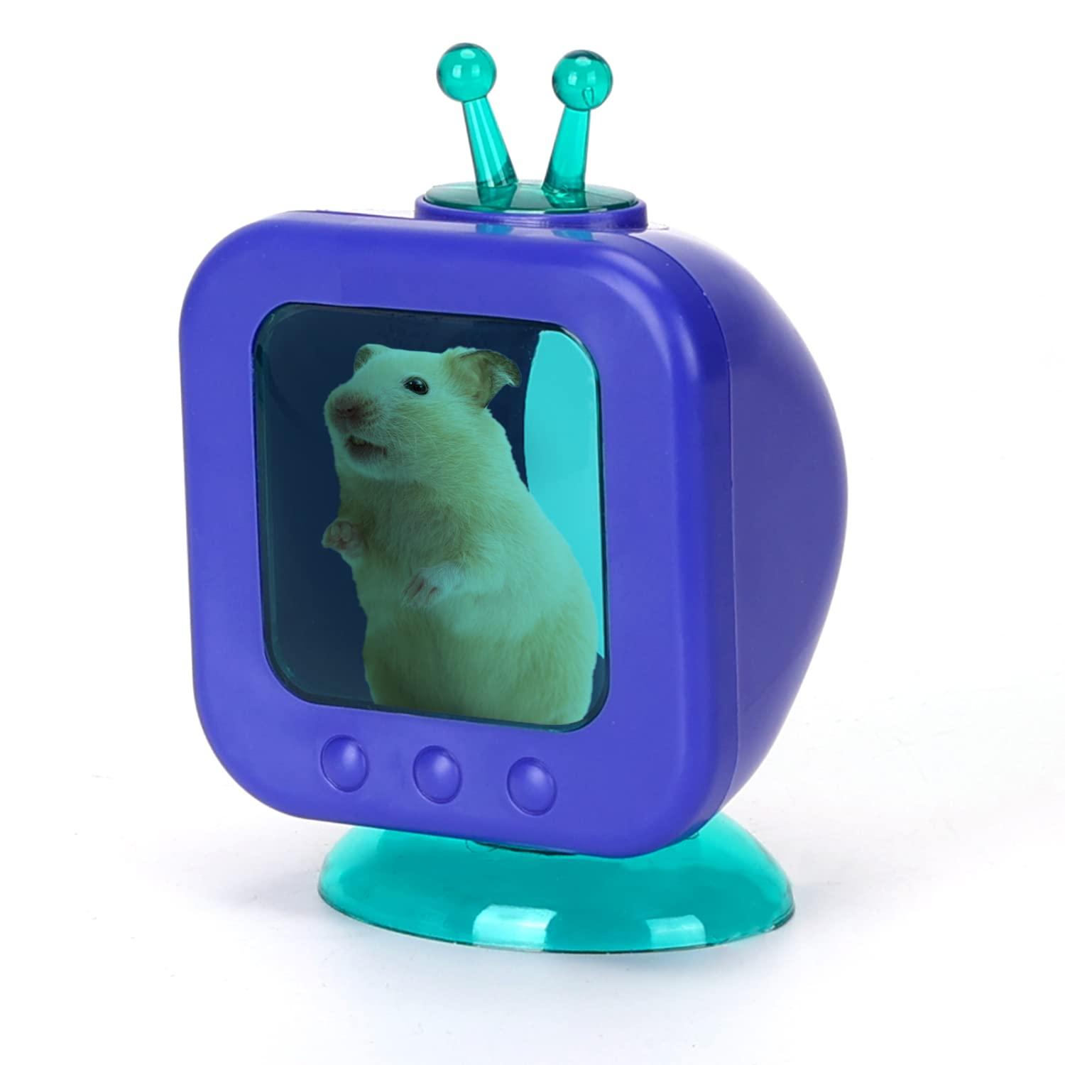 Giường cho động vật nuôi nhỏ tổ cho anh chàng hamster từ Ấn Độ Hesson chuột Chinchilla Guinea Môi trường sống nhỏ