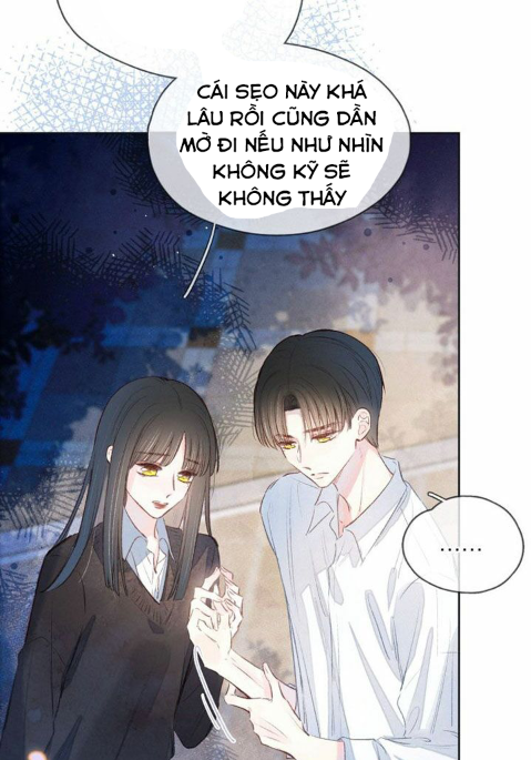 nỗi buồn của hoa cẩm tú cầu chapter 30 22