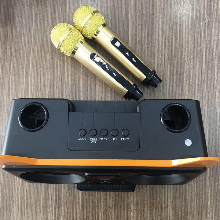 Loa Karaoke Bluetooth SD - 305 kèm 2 micro không dây - Hàng nhập khẩu