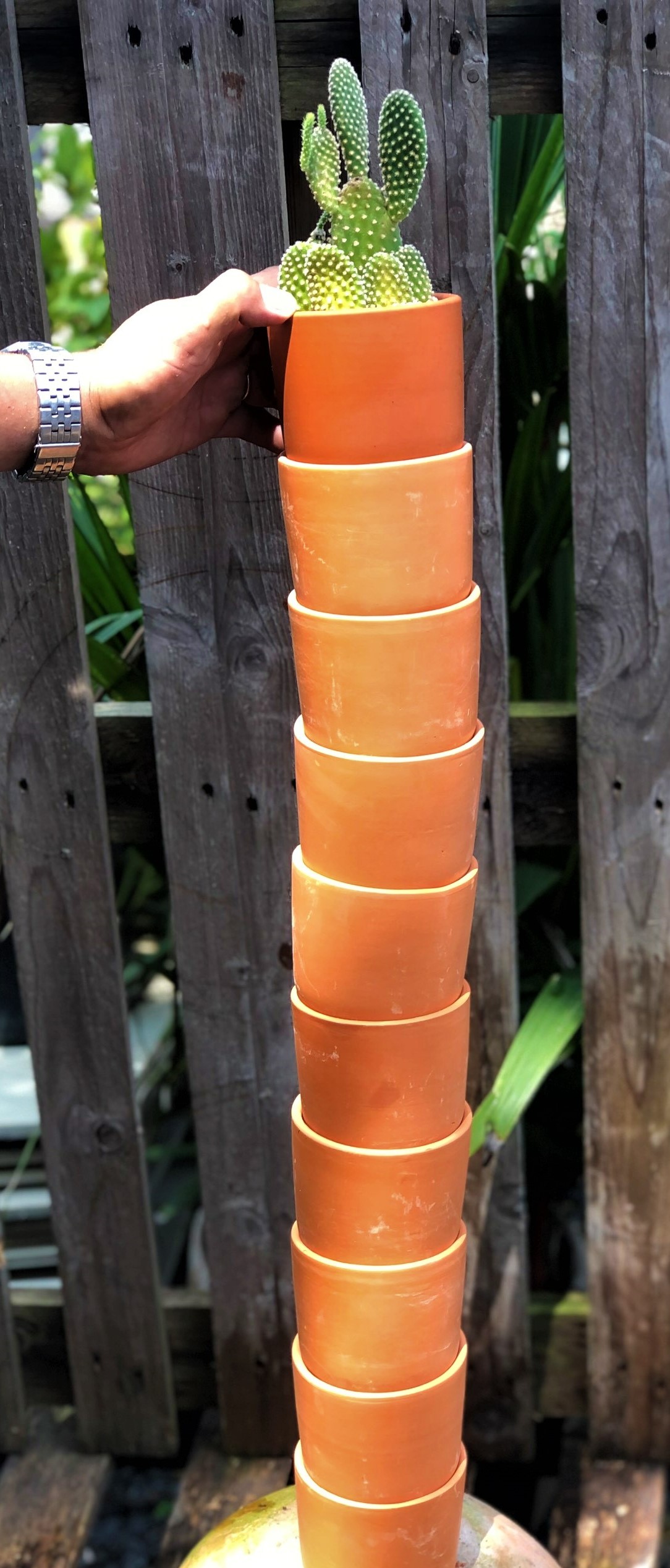 Bộ 10 chậu đất nung trồng xương rồng sen đá hình trụ rộng 9,5 cm x cao 8 cm