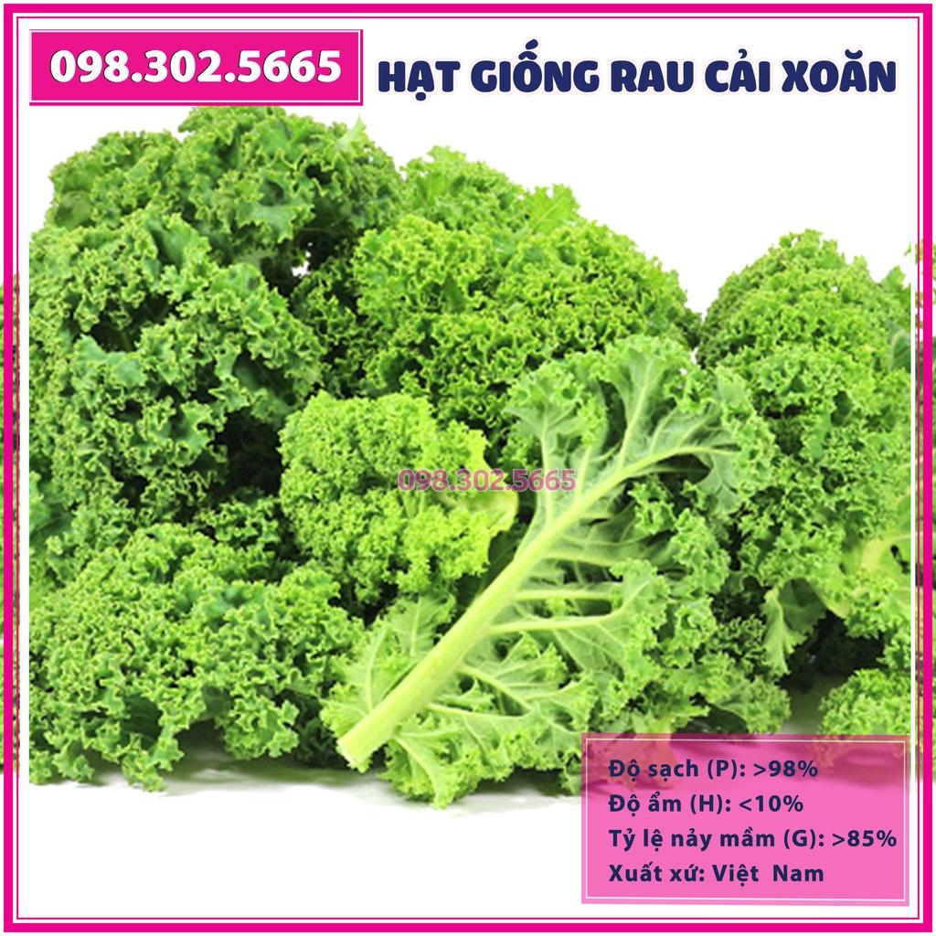 Hạt gióng rau cải lá xoăn kale - gói 2 gam - hạt giống chất lượng