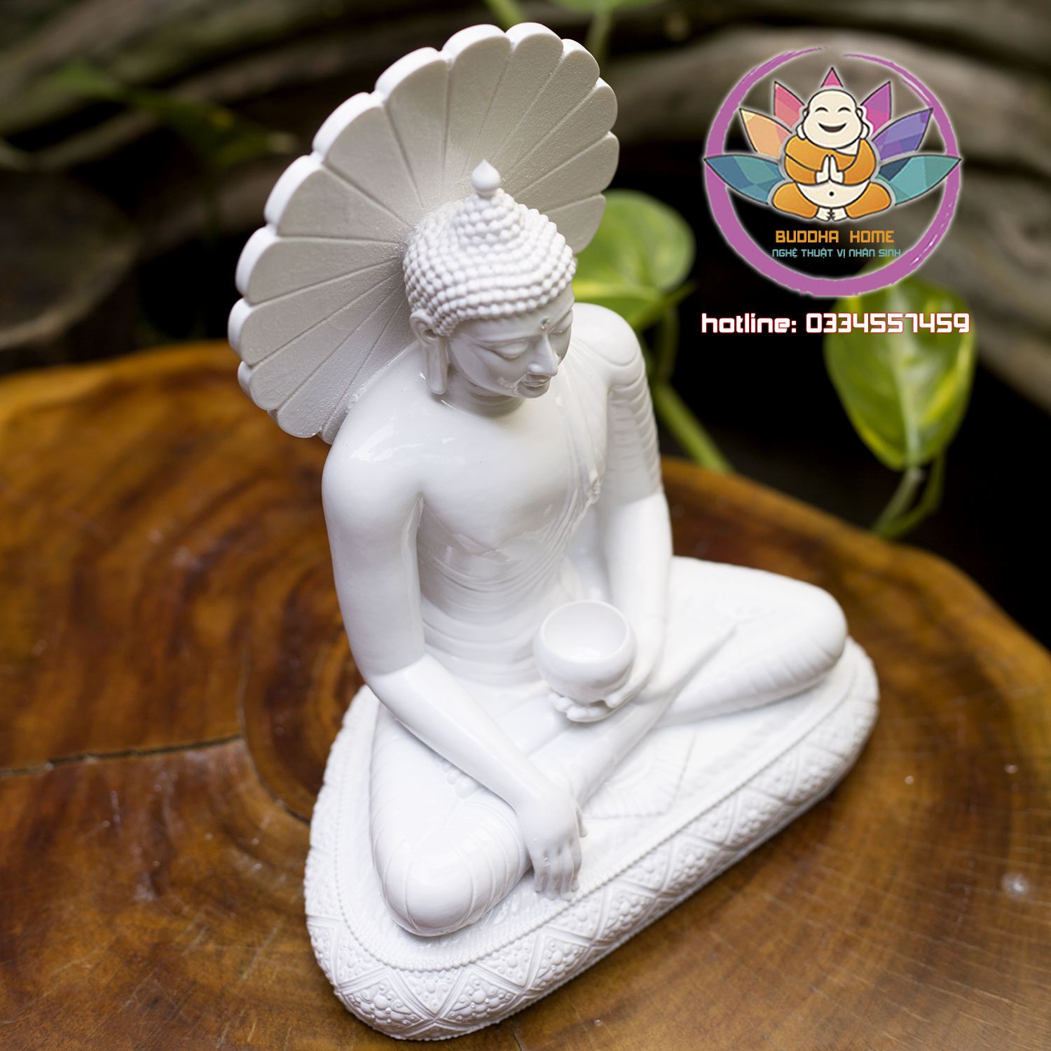 Tượng Phật Ngọc Bổn Sư 24 cm
