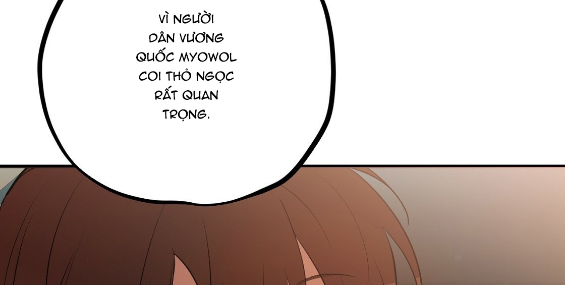 đàn thỏ của habibi chapter 23 147