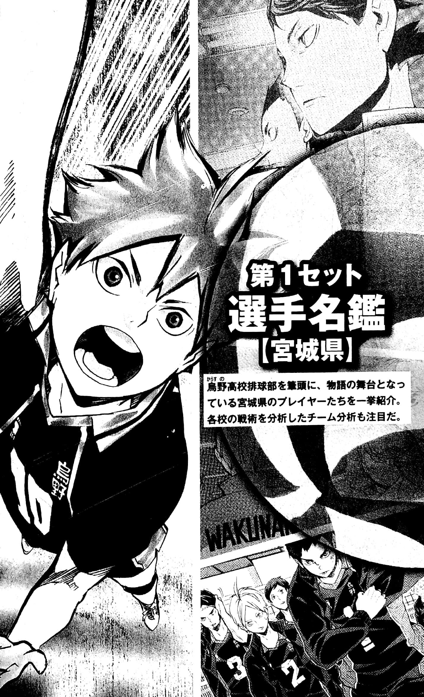 Haikyu!! Complete Guide Book
