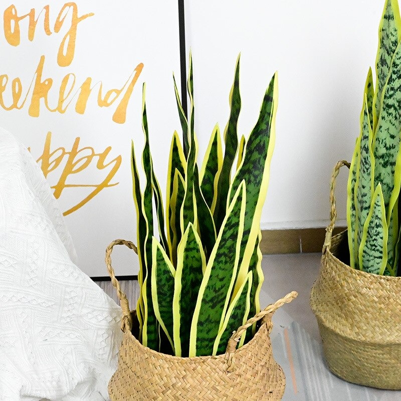 Cành lưỡi hổ giả cao cấp có 3 kích thước - Size từ 66cm đến 73cm - Cây giả, hoa lụa Decor trang trí nhà cửa