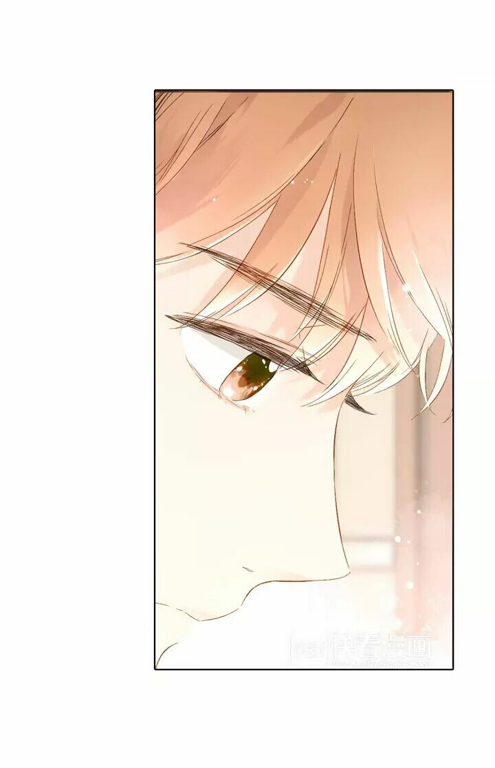 Tình yêu là màu hoa anh thảo chapter 23.2 29