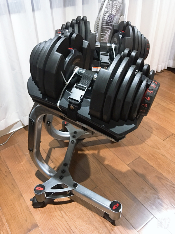 Tạ tay điều chỉnh cao cấp Bowflex 1090 (40,8kg / 1 quả)