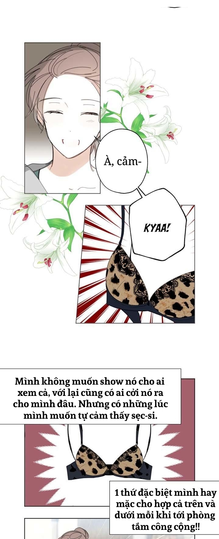 chuyện tình ở honey bouche chapter 3 28