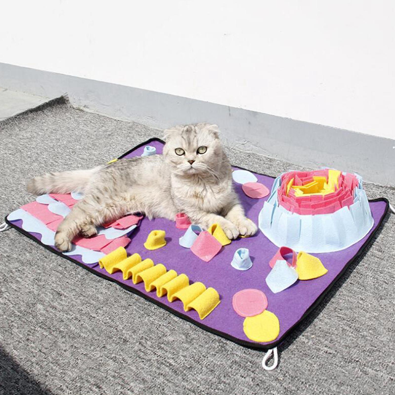 Dog Slow Feeding Dog Food Mat Training Blanket Play Mat