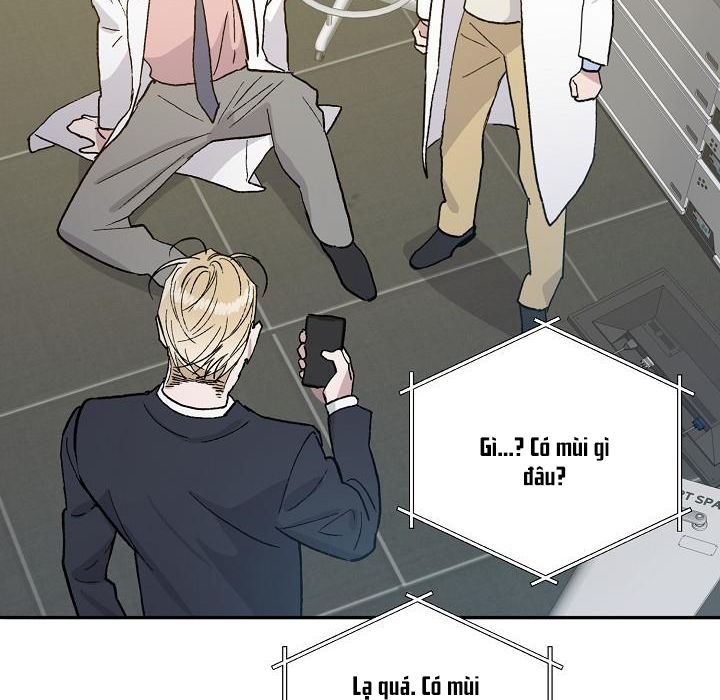 chàng tuấn mã của tôi chapter 36 53