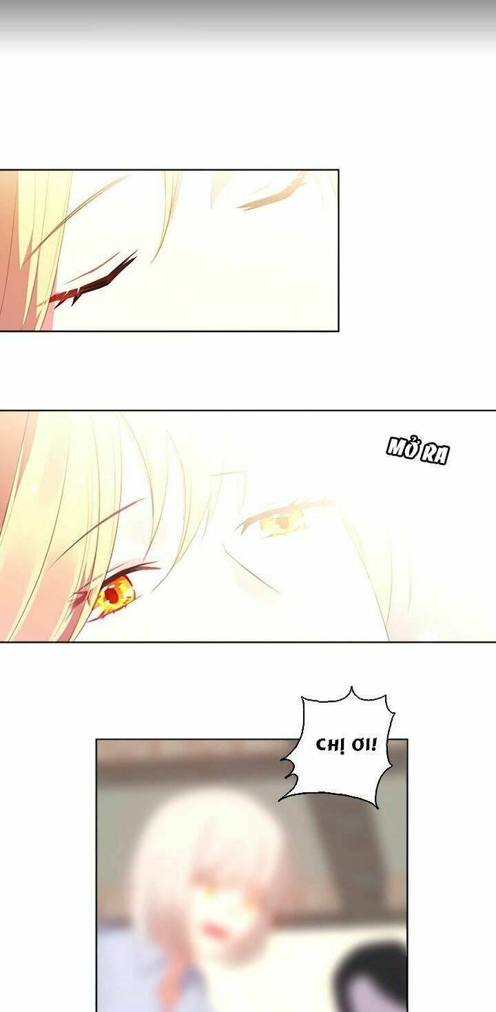 cộng tác của hoàng đế chapter 40 29