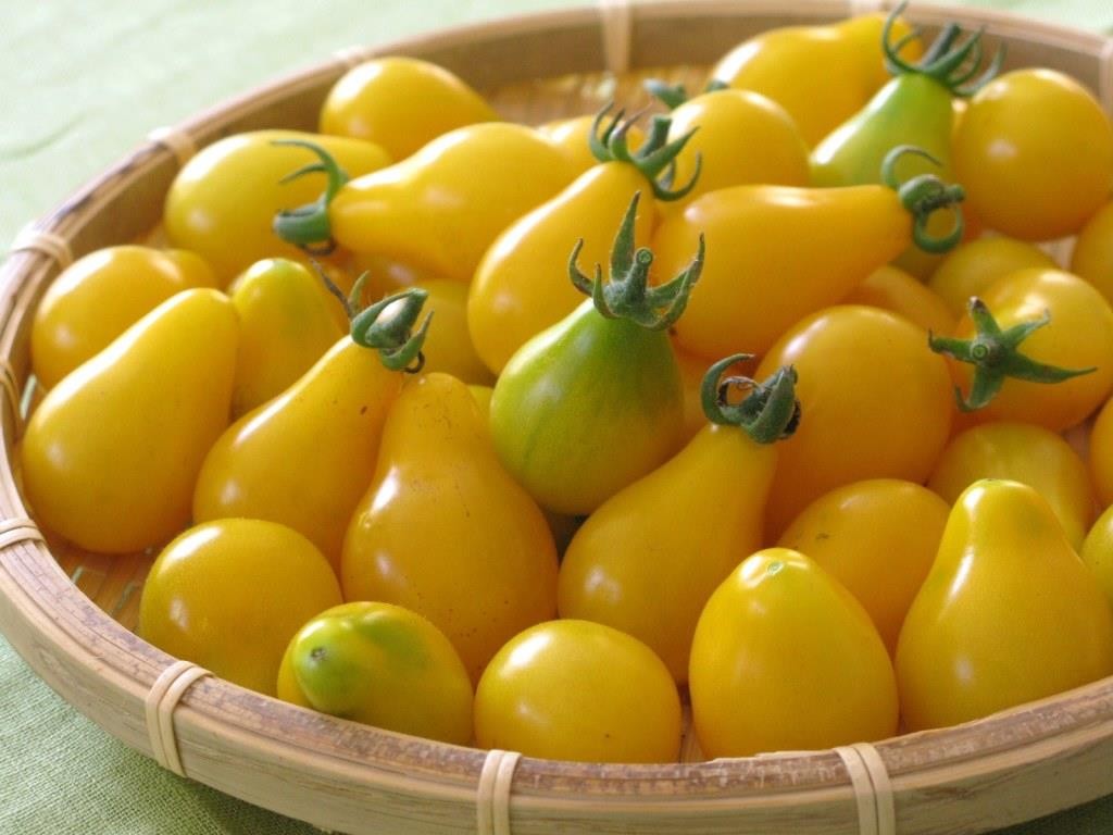 Hạt Giống Cà Chua Quả Lê Vàng