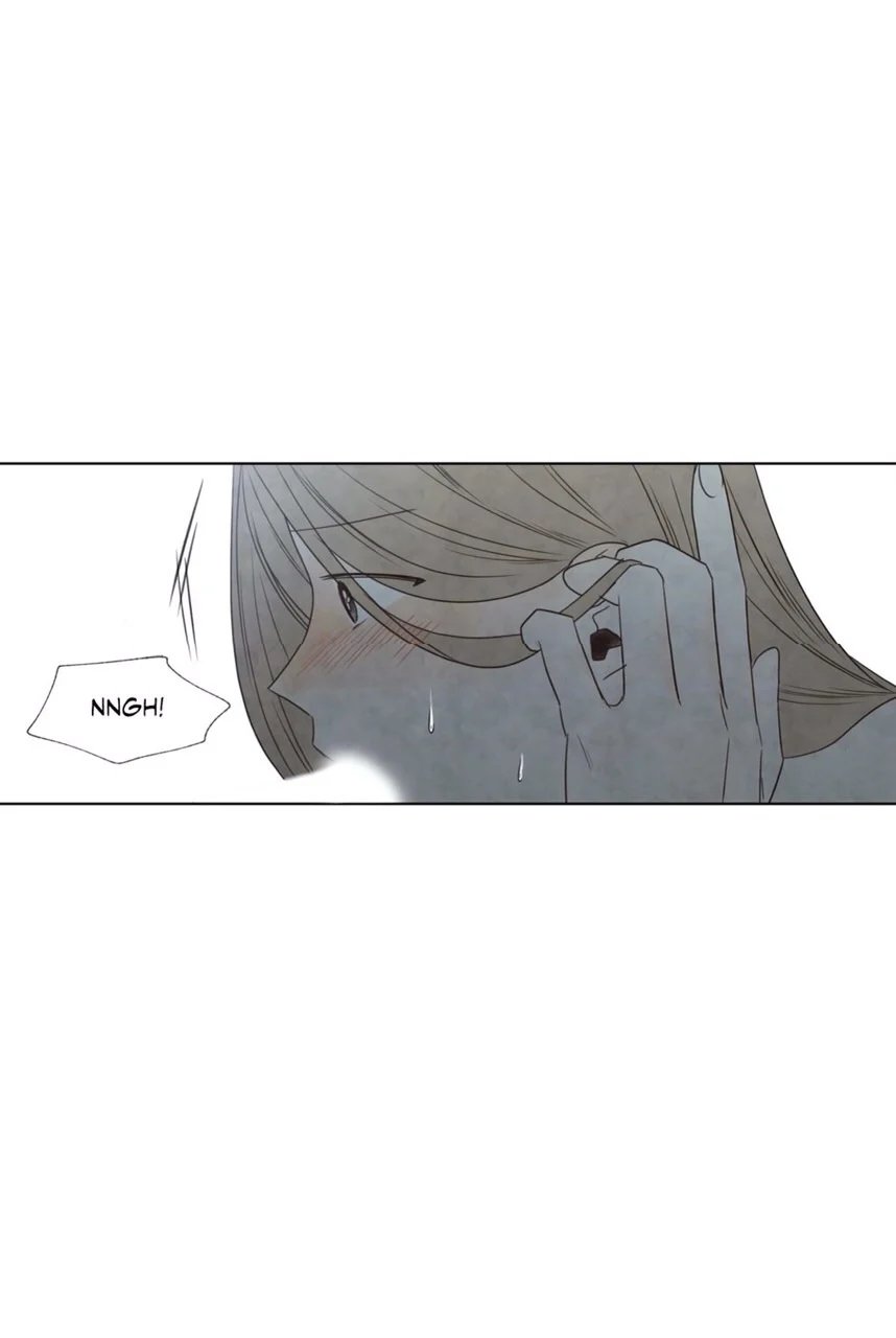 summer solstice point chapter 3 2