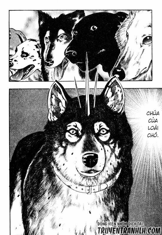 inugami chapter 13 9