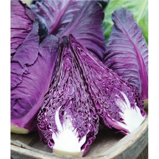 Hạt giống bắp cải trái tim tím dể trồng f1- gói 20 hạt-tặng kèm gói phân bón lót