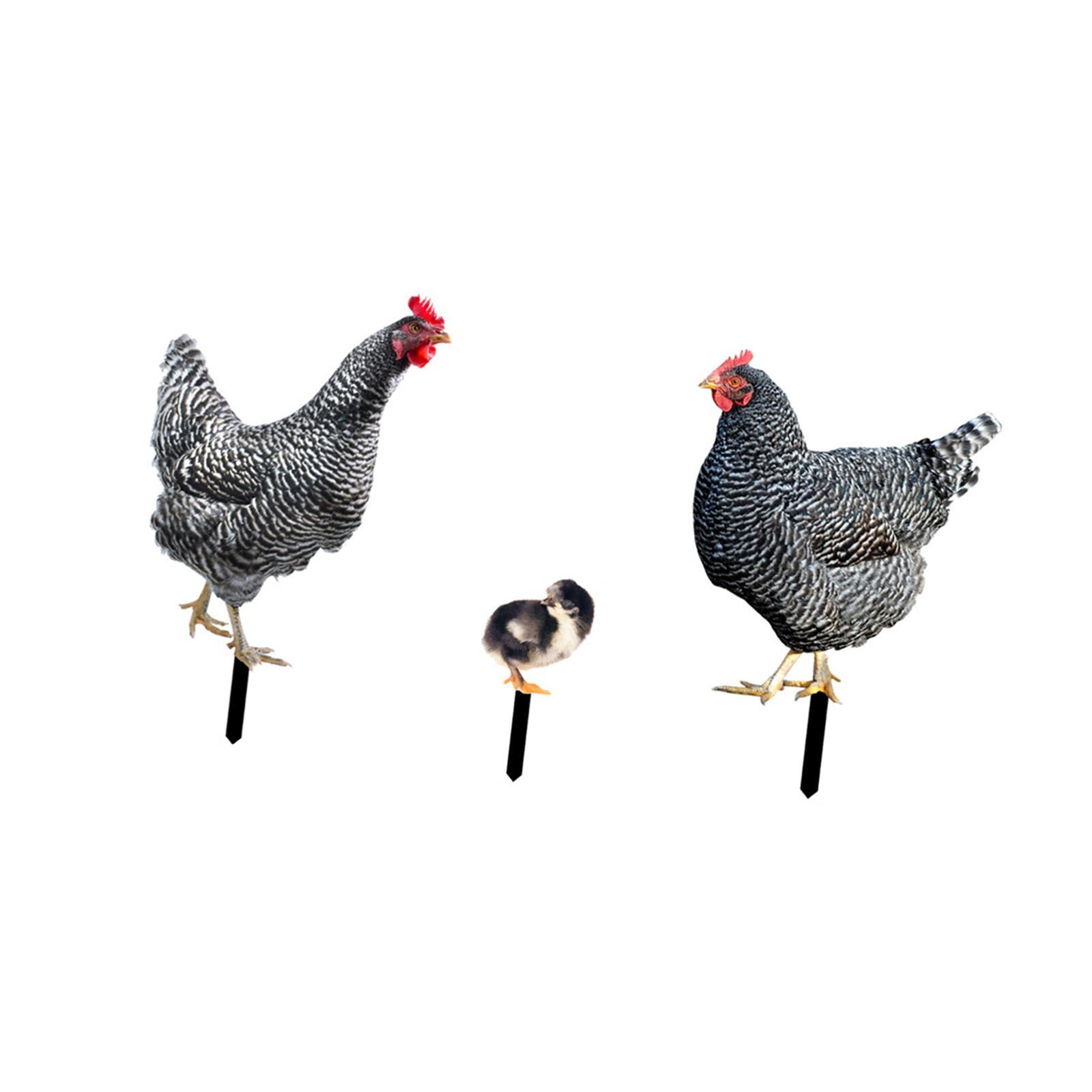 3 Pieces Chicken Animal Statue Animal Shaped Yard Stake for Pathway Decor
