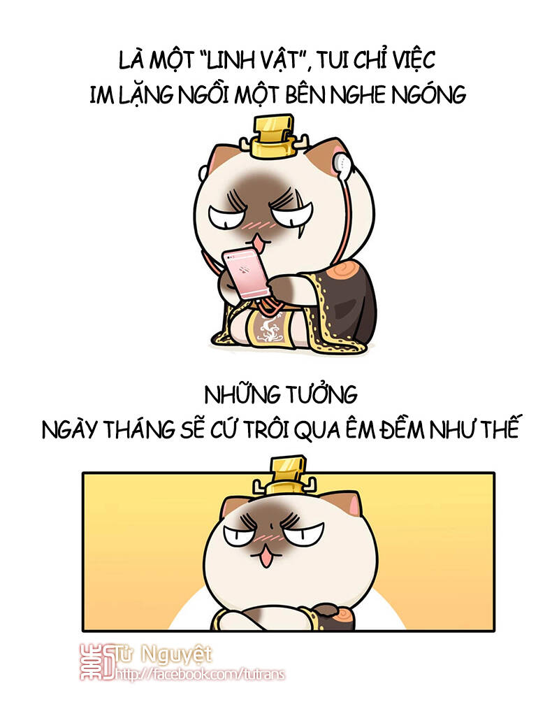 nếu lịch sử là một bầy mèo chapter 25 22