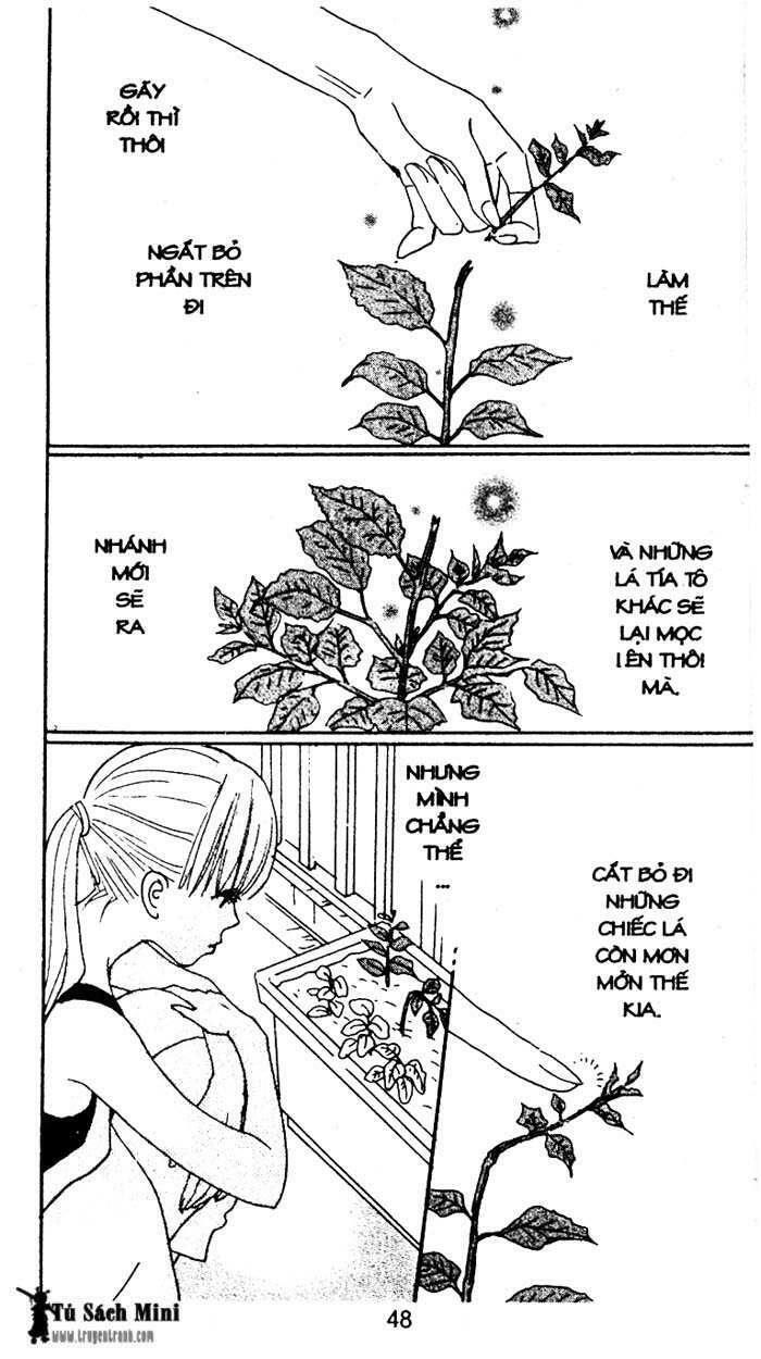 love n life chapter 24 3