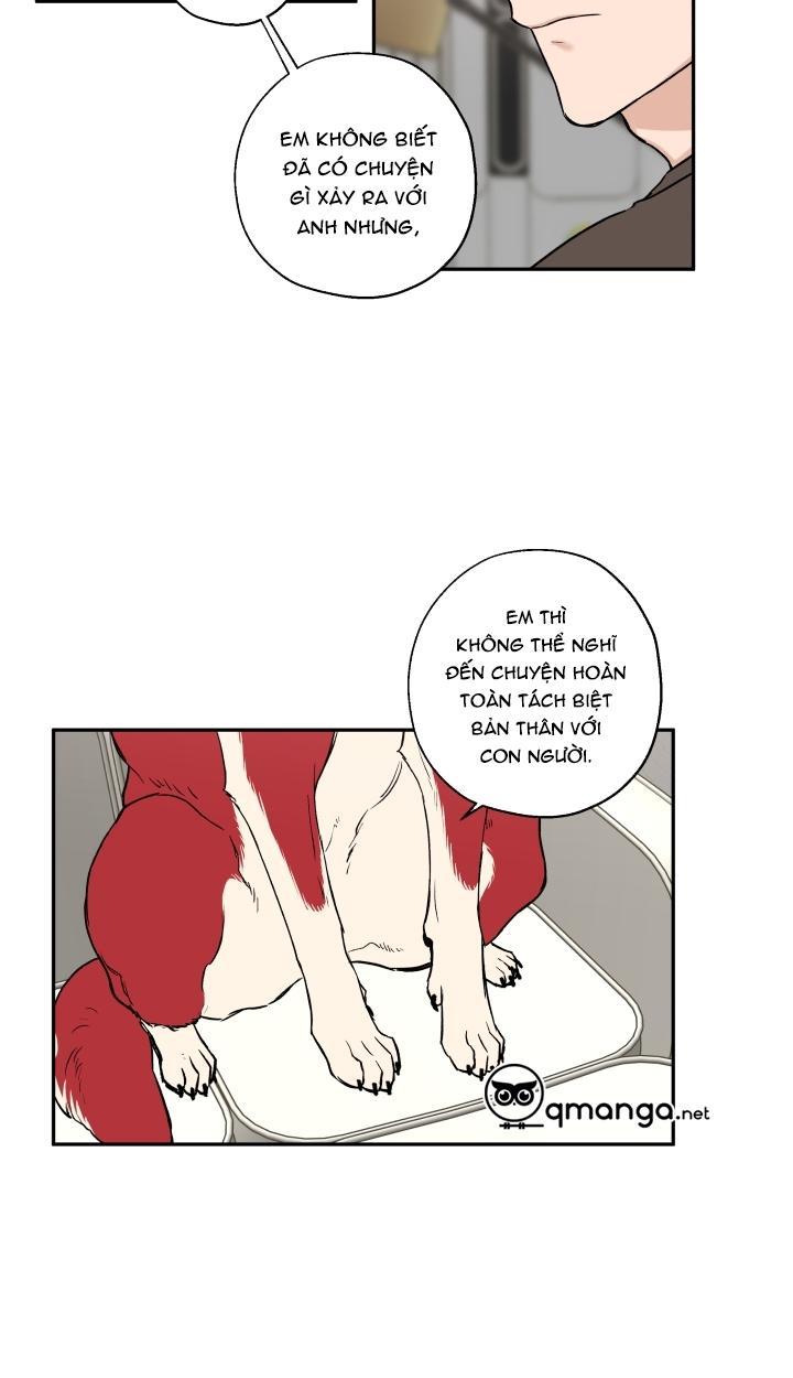 gâu gâu! chapter 21 12