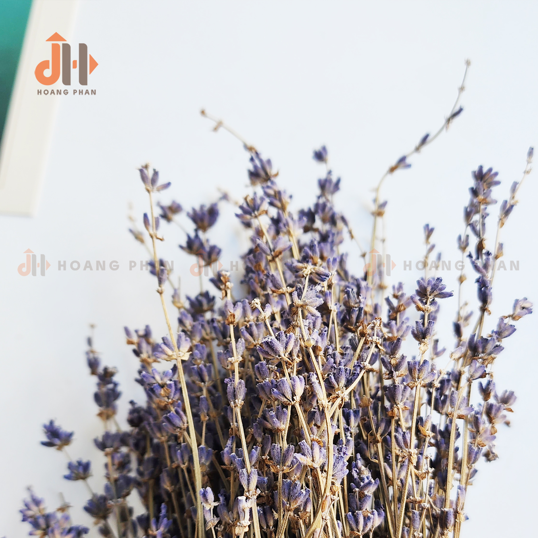 Set bình gốm trắng mộc phối hoa Lavender khô
