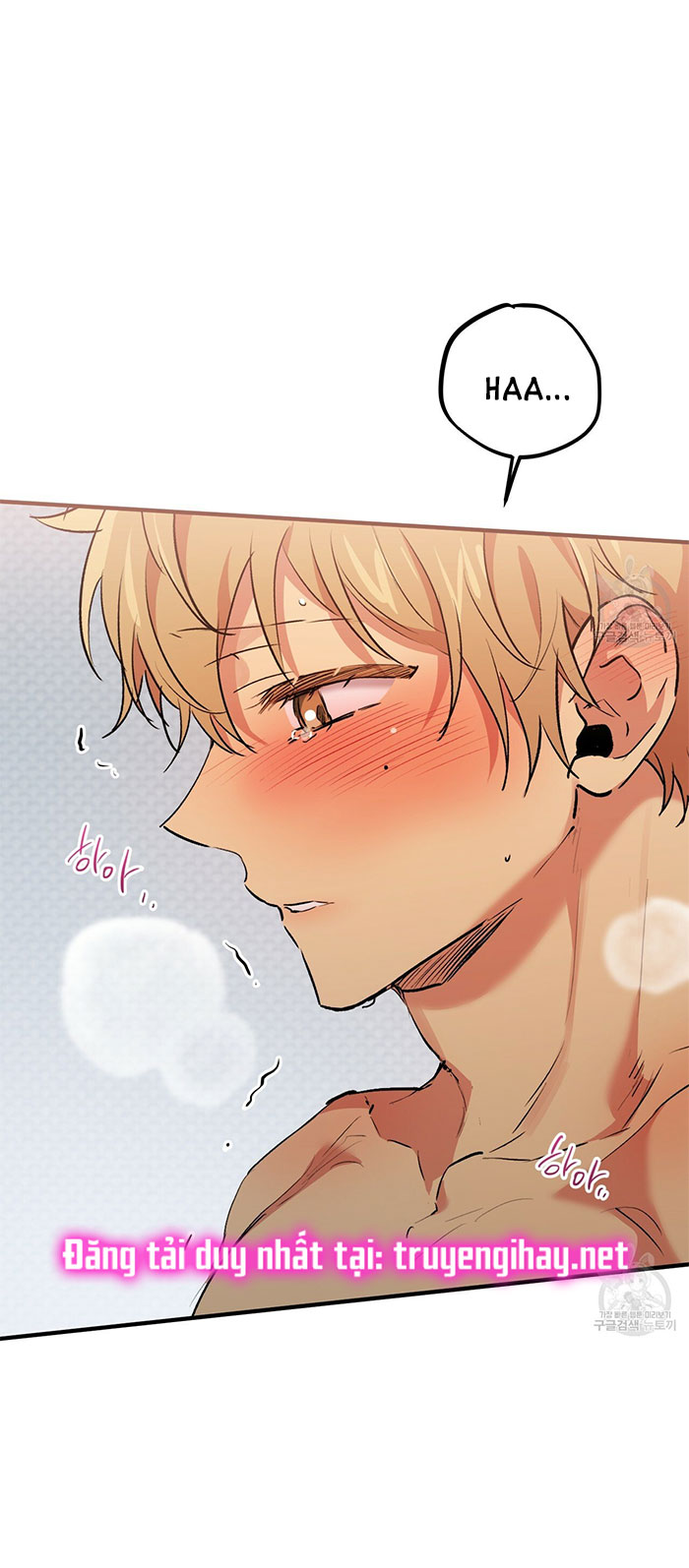 những chú thỏ của hapypy chapter 43 49