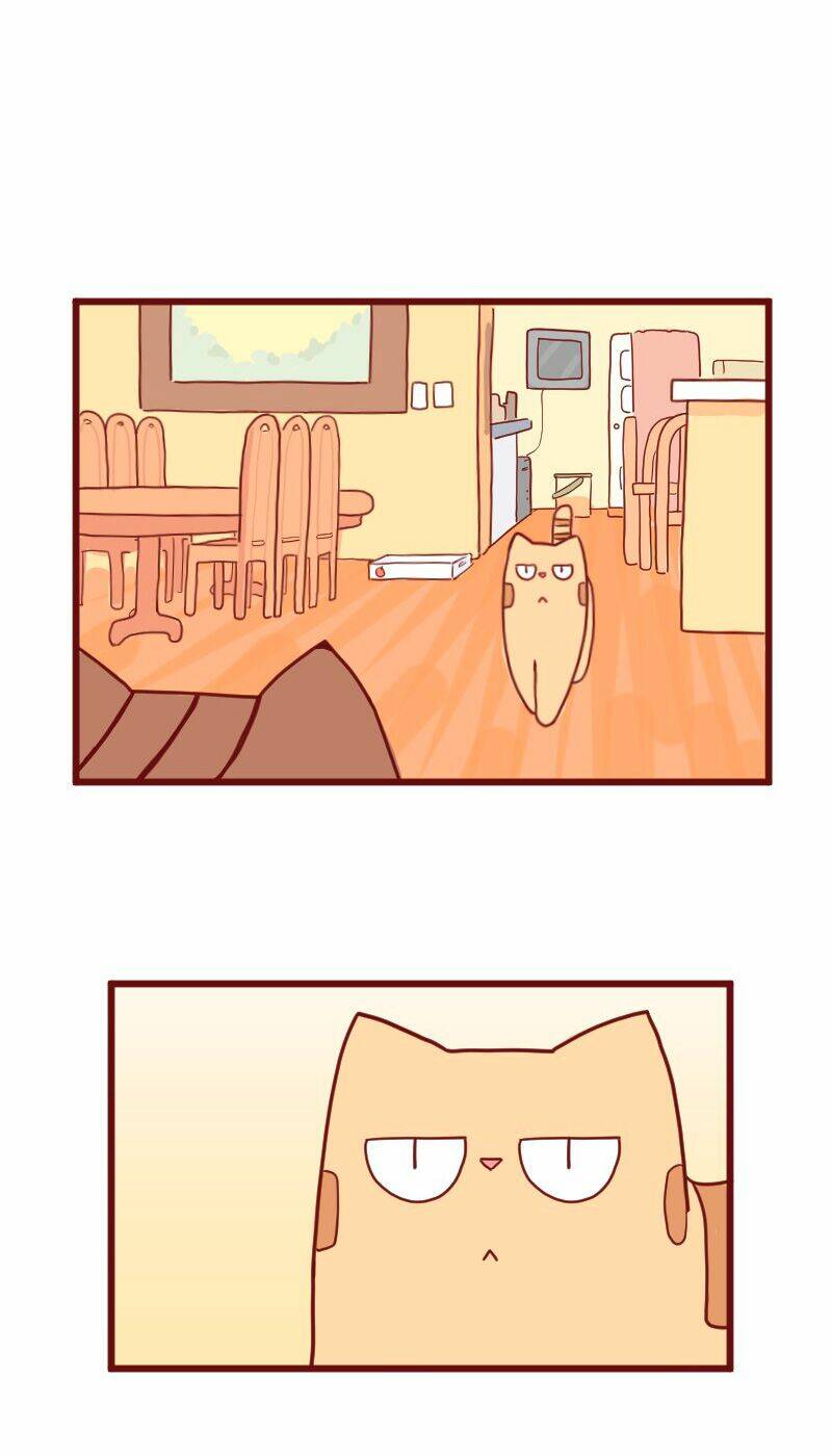 saphie: chú mèo một mắt chapter 10 4