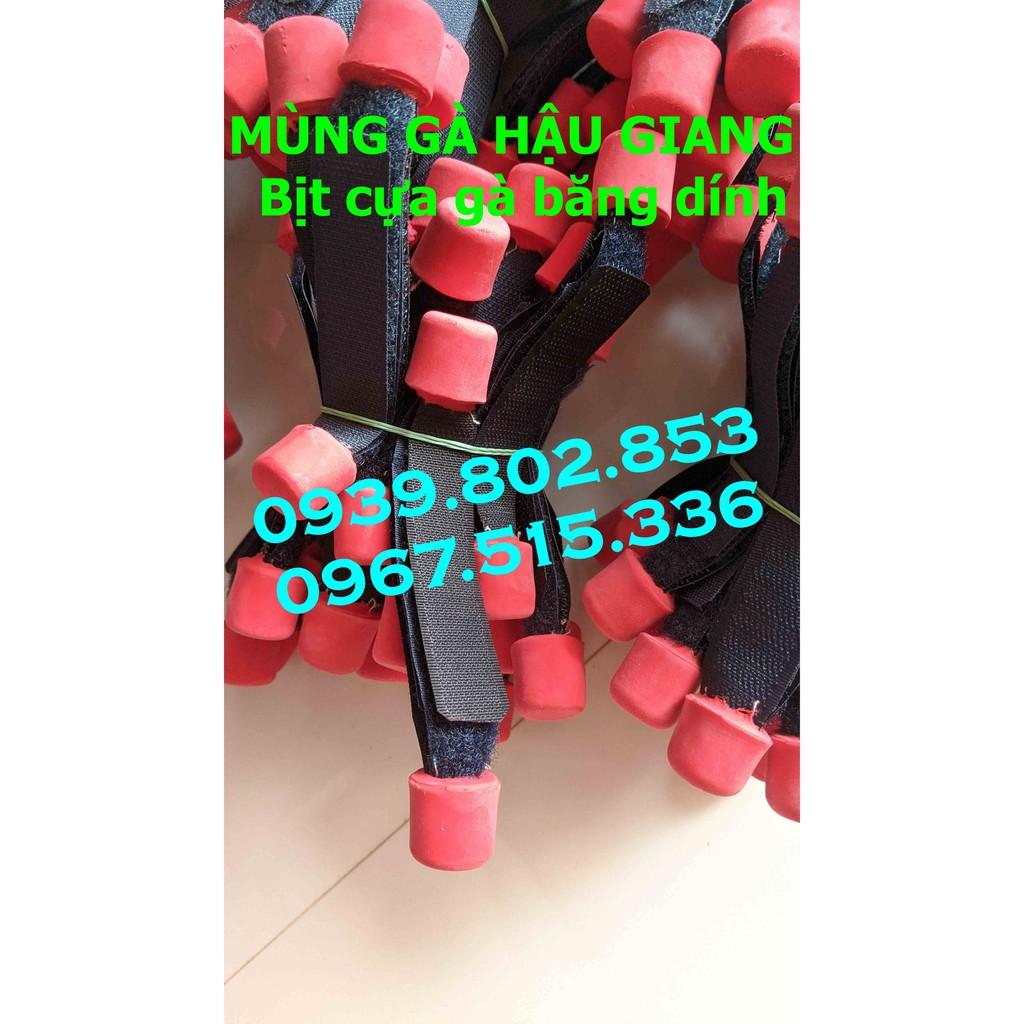 Bịt cựa gà giá sỉ
