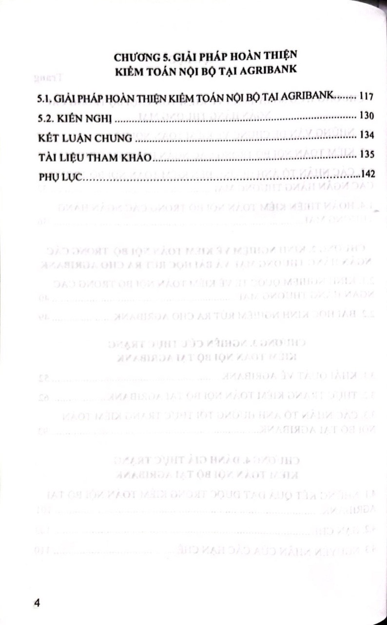 Kiểm Toán Nội Bộ Trong Các Ngân hàng Thương Mại Việt Nam - Nghiên Cứu Tại Agribank ( Sách Chuyên Khảo)