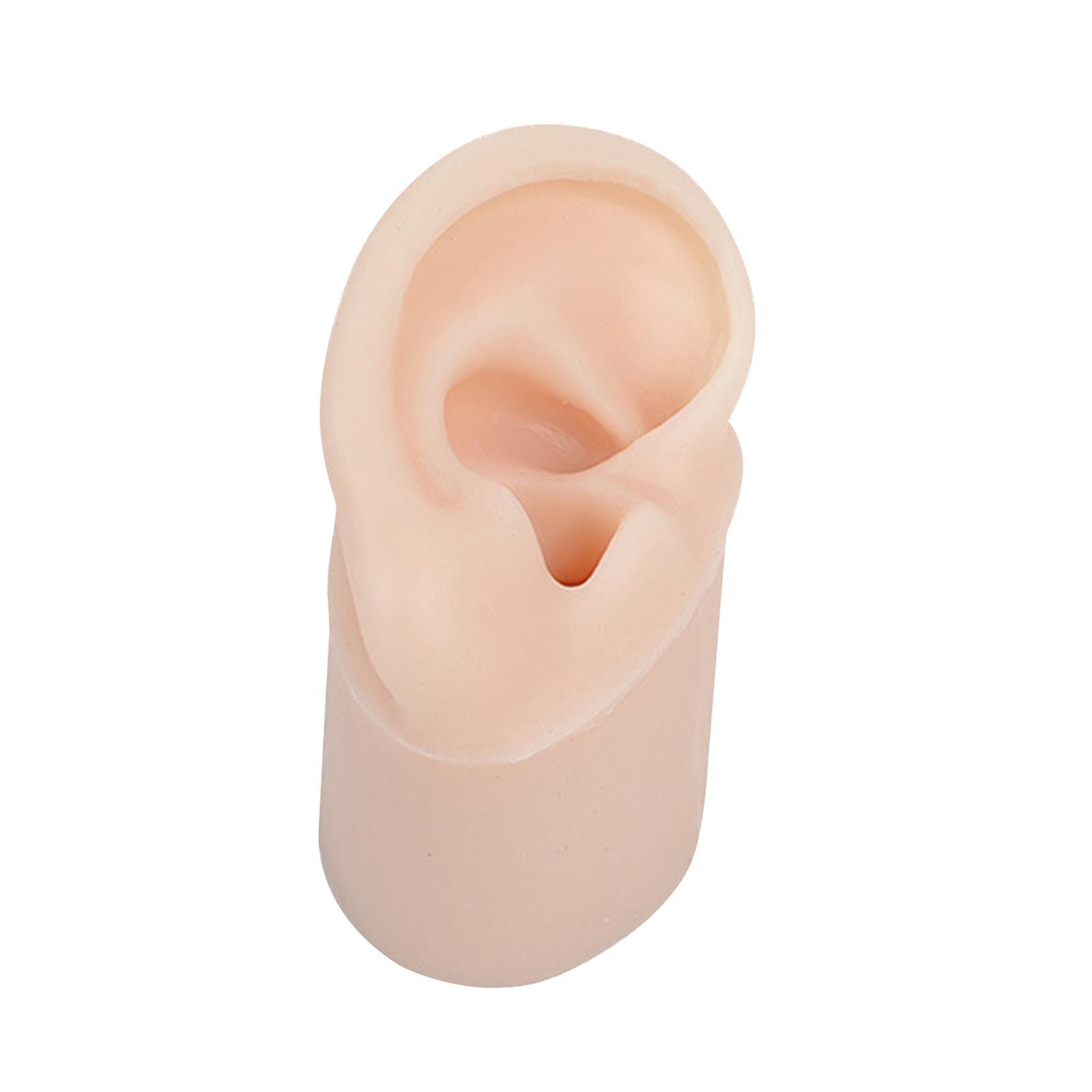 Simulated Soft Silicone Ear Model with Base Headset Display Props Left