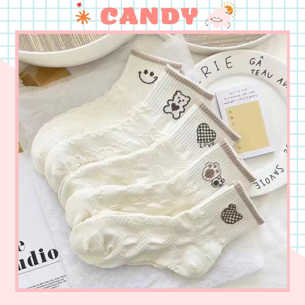 Tất nữ vớ nữ cổ trung, Set 5 đôi tất nữ phong cách Hàn Quốc, co dãn 4 chiều, chất liệu cotton Hàn cao cấp TN-229