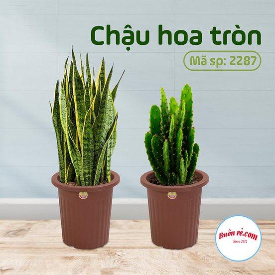 Chậu nhựa tròn trồng hoa, cây cảnh Việt Nhật) - Chậu nhựa giả gỗ trồng hoa, rau dáng đứng sang trọng