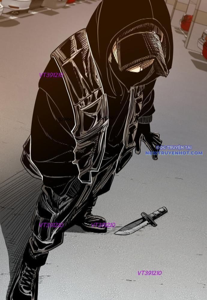 shark - cá mập chapter 257 4