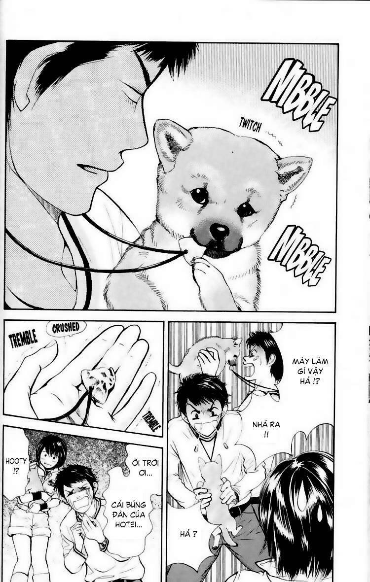 cô nàng yêu chó chapter 18 14