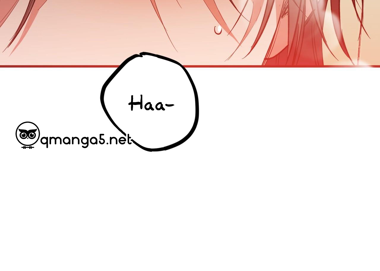 đàn thỏ của habibi chapter 63 150