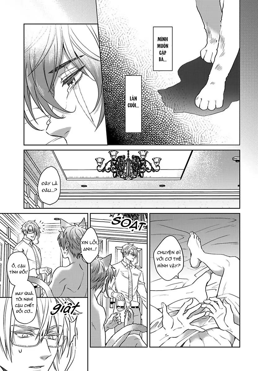 mofumofu bakashiai nikki chapter 3 16