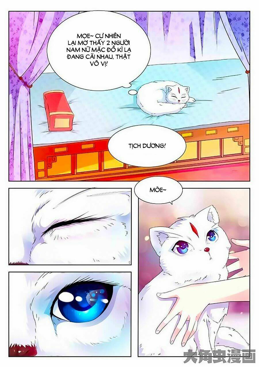 mau lấy con mèo đó ra chapter 1 7