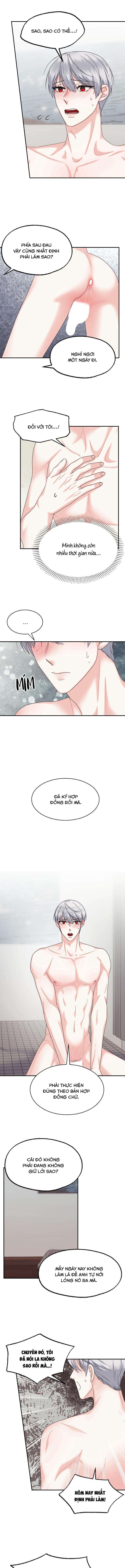 đây là chú thỏ mà bạn (không) đã đặt hàng chapter 11 9