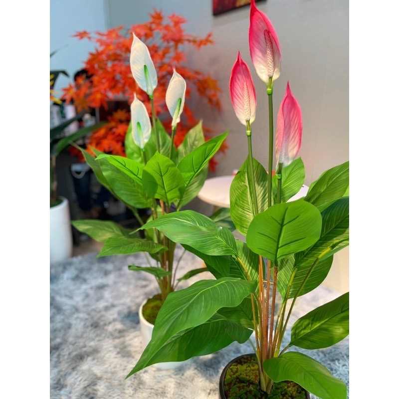 Cây lan ý giả - Size 90 cm - Cây giả, hoa lụa trang trí nhà cửa