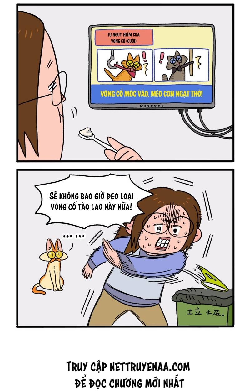 a mãn và mạch trà chapter 10 6