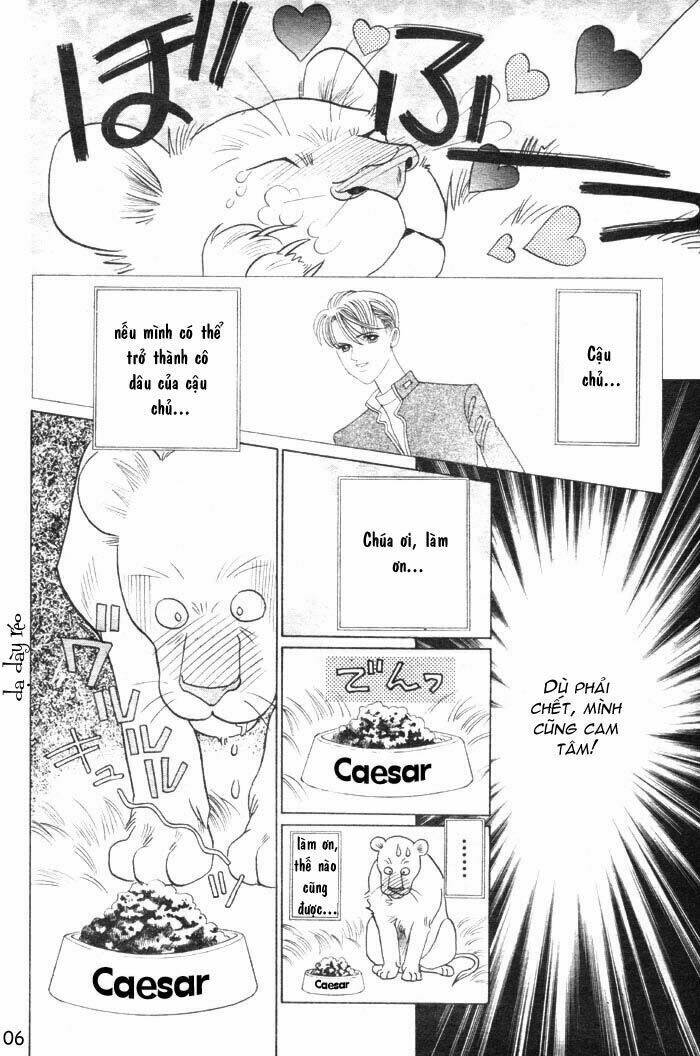 wild cats chapter 1 9