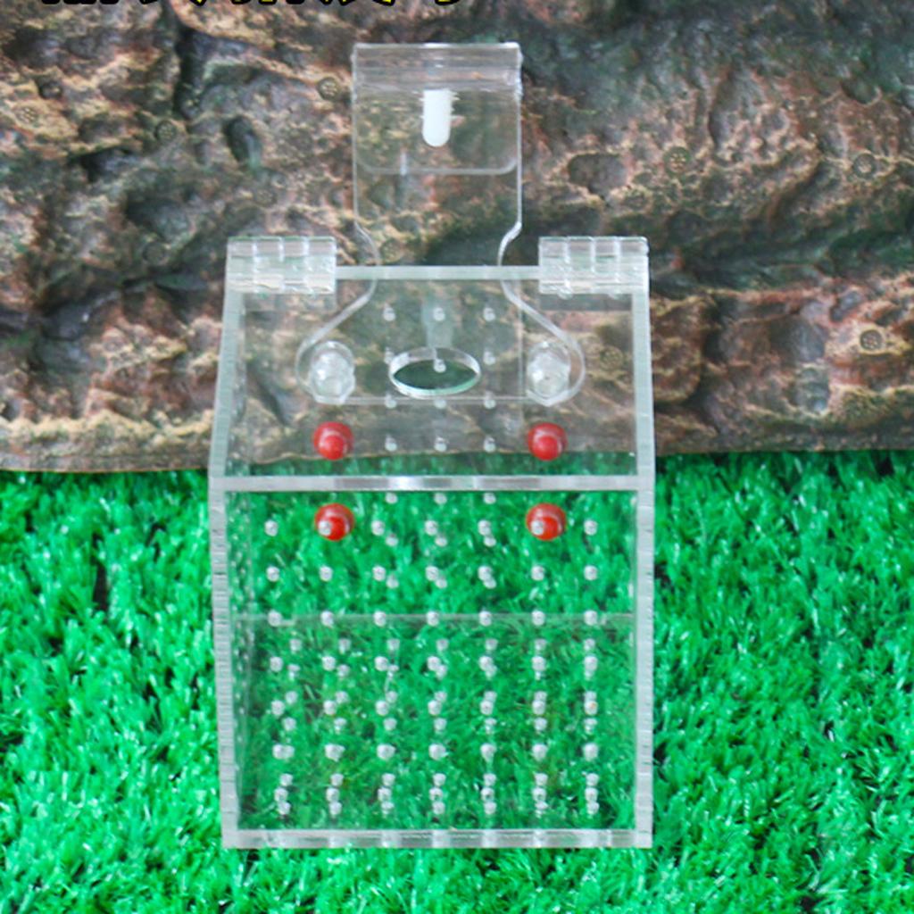 Clear Acrylic Aquarium Fish Incubator Breeding Box Incubator Isolation Box, 2 Size