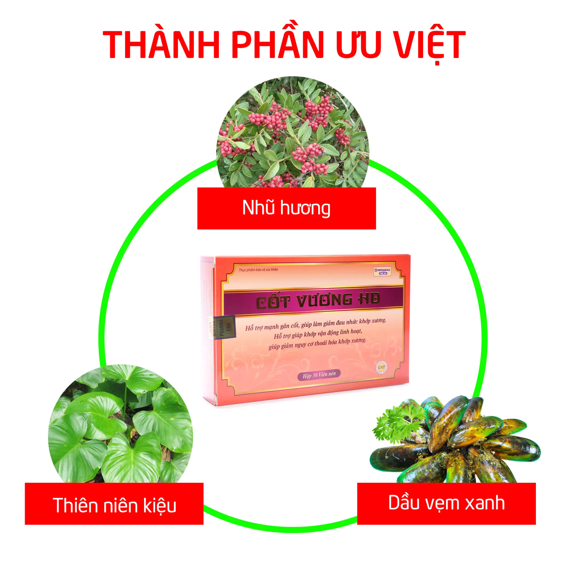 Cốt Vương HD giảm đau xương khớp, thoái hóa cột sống Hộp 30 viên