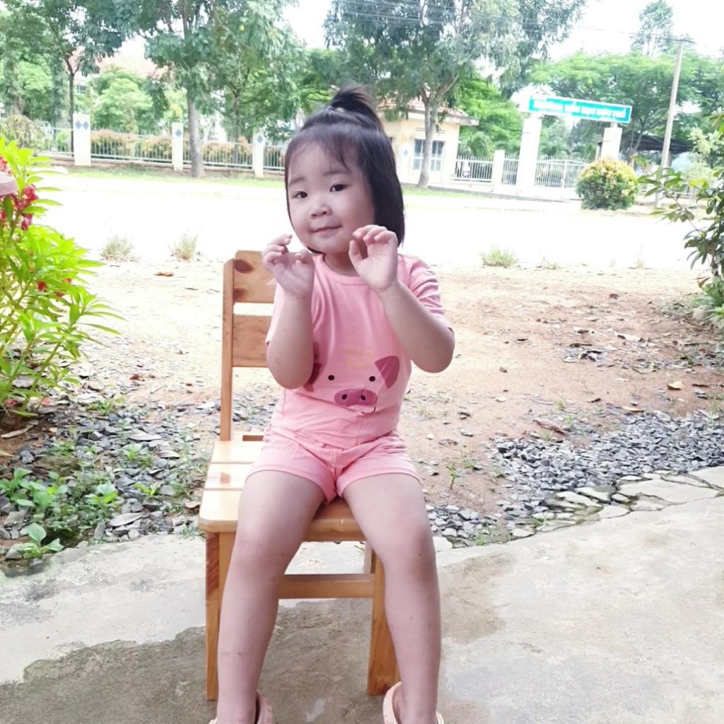 Đồ Bộ Heo Hồng Cho Bé Vải Thun Lạnh