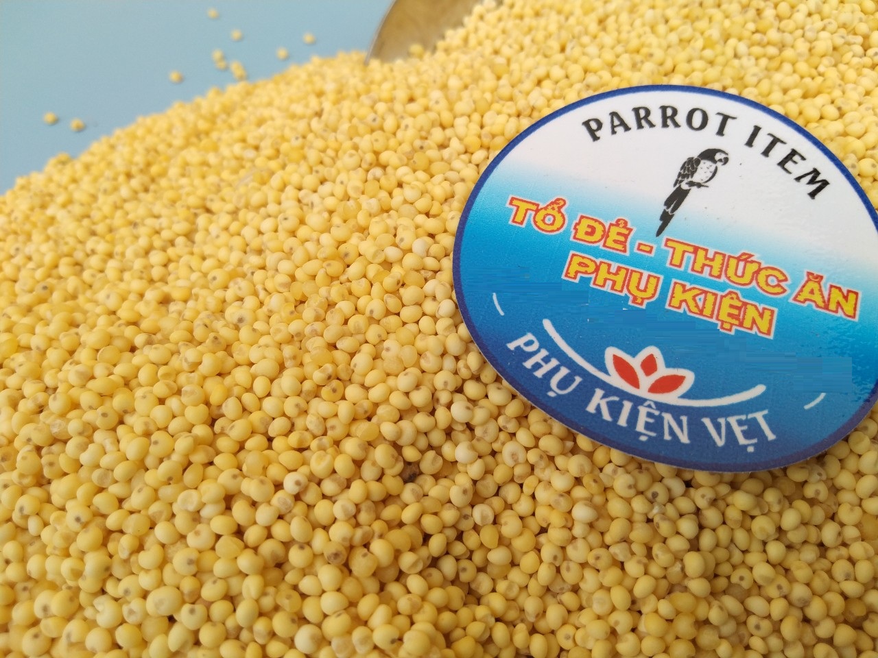 1KG KÊ BÓC VỎ CHO CHIM, VẸT TẬP ĂN