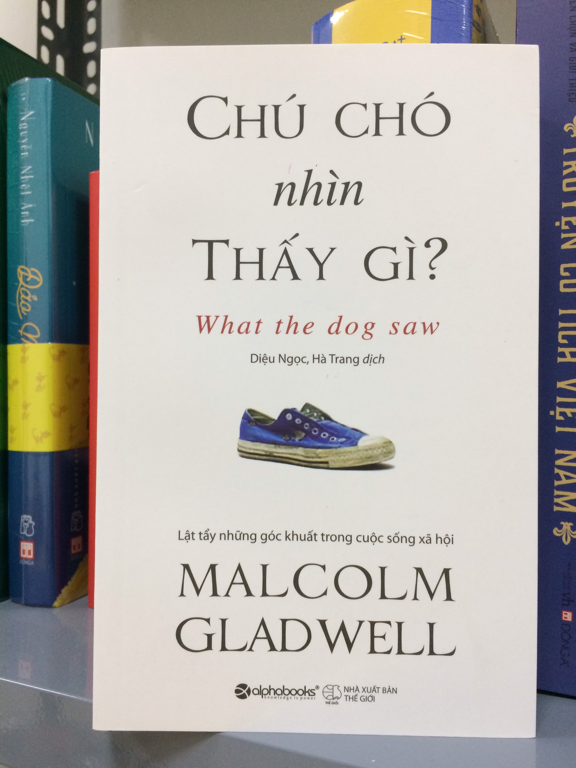 Chú Chó Nhìn Thấy Gì?